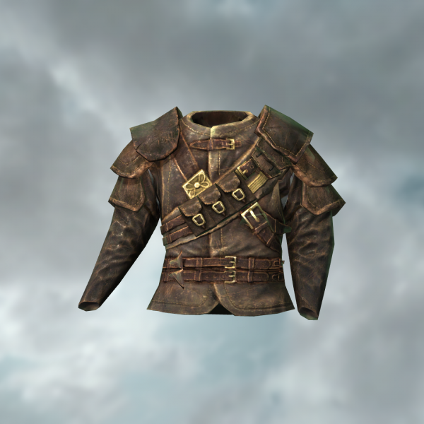 Thieves_Guild_Armor.png