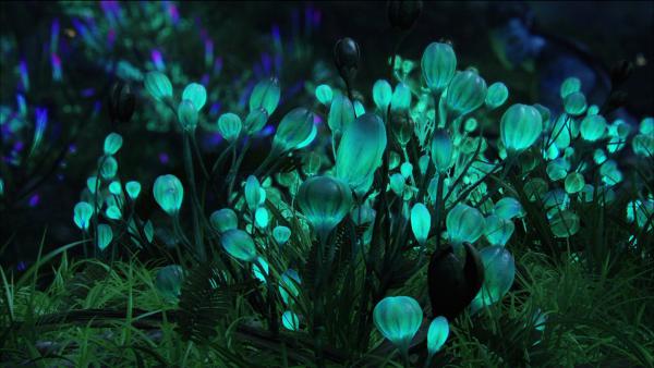 pandora_bioluminescent_by_tymiann-d2z132b.jpeg