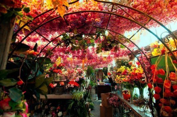 Цветочный-магазин-в-Амстердаме.jpg