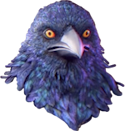 pigeon.png