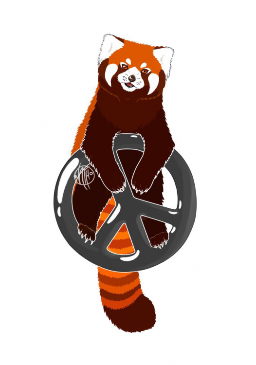 qdce8xVrNno.png