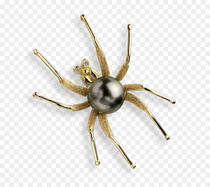 kisspng-brooch-spider-tahitian-pearl-jewellery-5ae843c61e3285.7780249915251711421237.thumb.jpg.aa7e4541e05a3a5030df270dafb33267.jpg