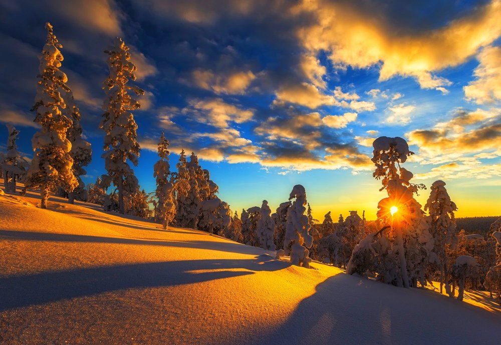 2018Winter_Beautiful_sunrise_of_a_bright_winter_sun_over_a_snowy_forest_129117_.thumb.jpg.33991c19875ad58451d3eb65694567a3.jpg