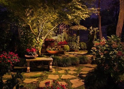 night-garden-2.jpg.c51129f715d2ab0861aadb870f2b9dce.jpg.225963dadd9c275bce320da2aa5dd582.jpg