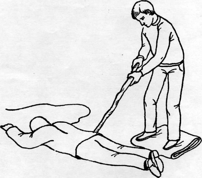 тыкание_битла.джипег