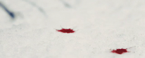 blood-snow.gif.b2dda6463c34fa7c3eb2b311ea133e30.gif