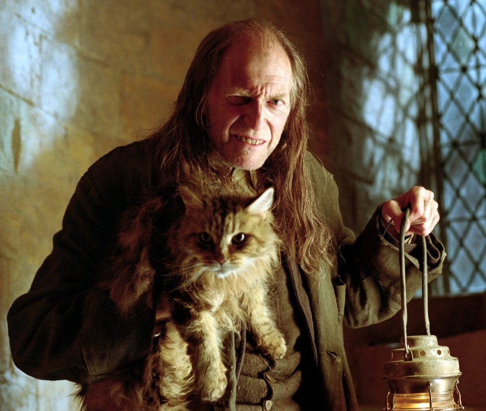 david-bradley-argus-filch-scaled-e1614242395395.thumb.jpg.28384dc1edc9b9bb7603482b8dcdcc50.jpg