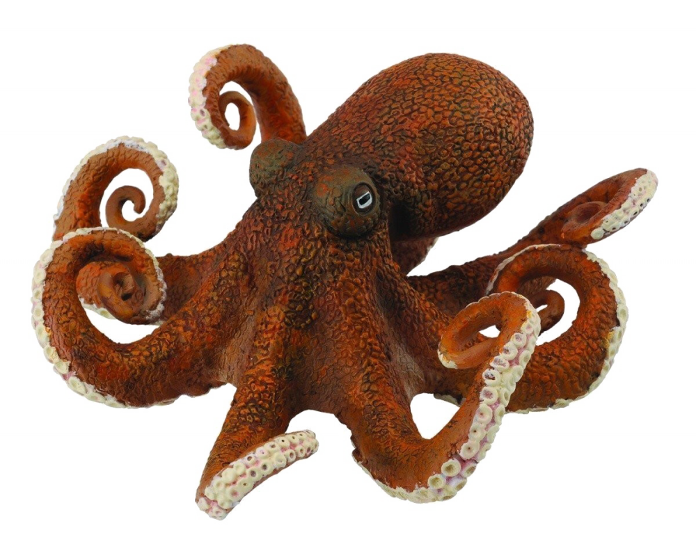 Octopus-Toy-PNG-Photos.thumb.png.d1348291755706dd9d664169824b1305.png
