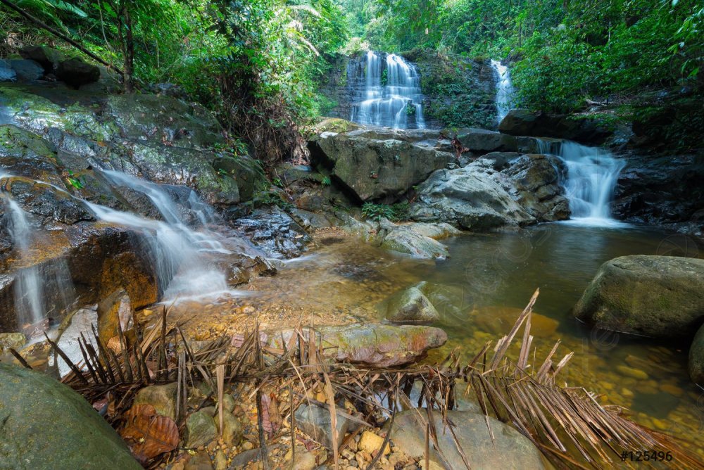 borneo-rain-forest-waterfall-idyllic-125496.thumb.jpg.ba20897be49c3d3e84b24bfbbe713adc.jpg