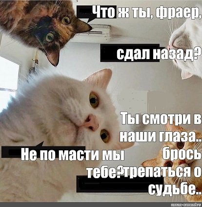 9a895b5ca652c0d4b50c3dcef639bf0c.jpg.e96f66d2de7ec116624302d8abaae895.jpg