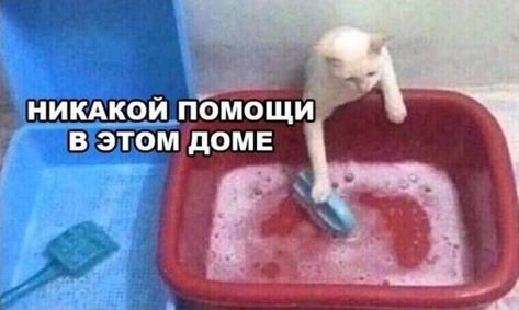 02d252efa0b399b57c436a975ddb66cf.jpg.30c