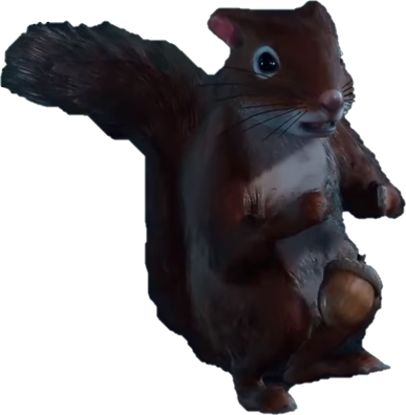 WTF_Squirrel.png.d05c8cbbf45a18c106b52cfa9fe42657.png