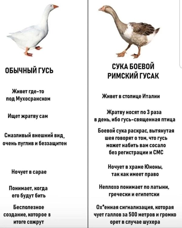 7gHIypFmgSo.thumb.jpg.2f5f537f65e77f980805bc4c151df394.jpg