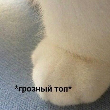 FhqtgTAXEAAKK-f.jpg.0b42daa5ee35340d6c0bb0e63a7b6527.jpg