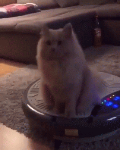 cat-bounce-roomba.gif.b28d692b8c98d7c97a10b5f03bcad127.gif