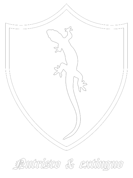 Salamander_0.2.png.c906f472569732b8607c905c5dbe2b45.png