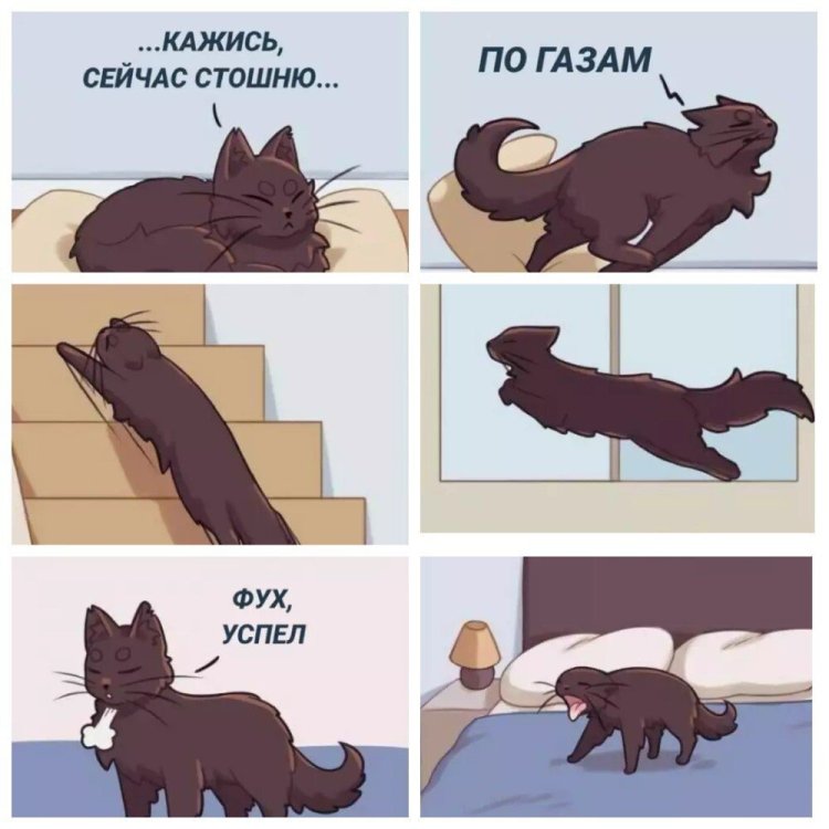 8995382e-444d-540f-9dcd-6e3b9d75a075 (2).jpg