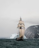 Meshulik
