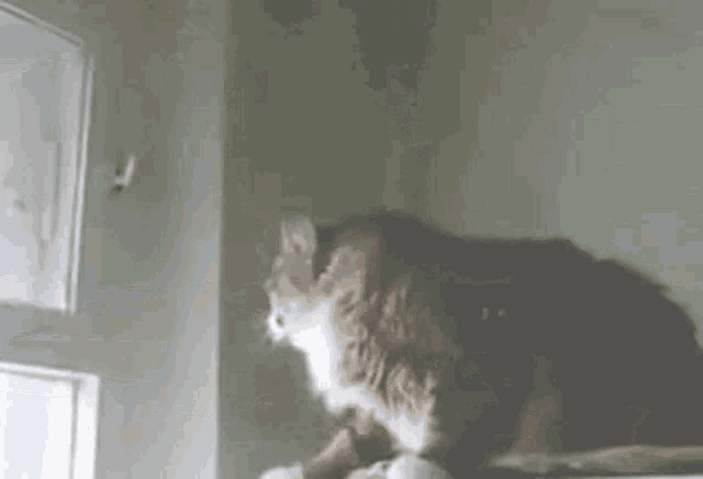1286097431_-.gif.fa5ce437268d98a694058b7d3e9a985b.gif