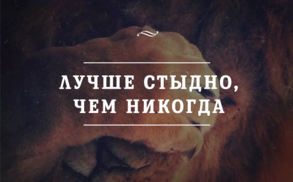 IMG_4718.thumb.jpeg.455967698d756249431c8dd9e708a024.jpeg