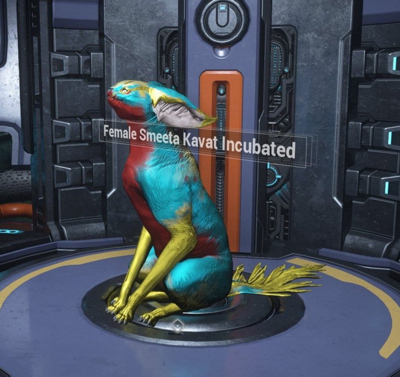 download-5.thumb.jpeg.4db25a62be330287fbd2215ef76ac89d.jpeg