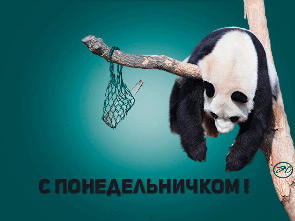 282738357_.gif.c38f06185900b5f70e7b9e1e6856e144.gif