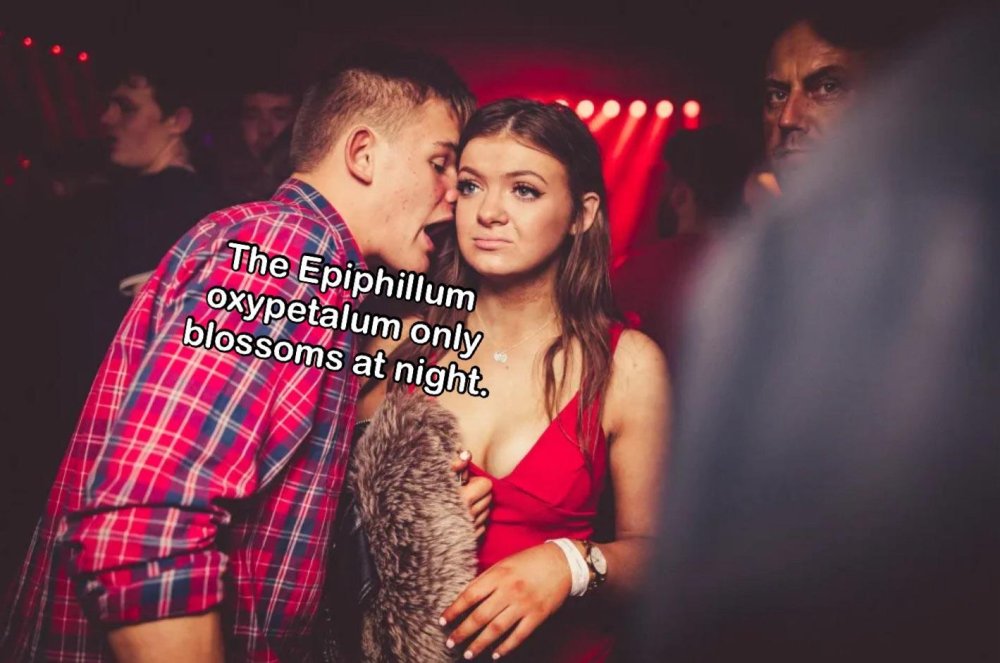 6mu79b8jgu4h1.thumb.jpeg.9fe1bce44d05cc5bae883c687e4f6a79.jpeg