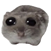 ssd.png.6997b9c0d2e9db5e36adacbe0c6059a0.png
