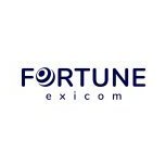 fortuneexicom