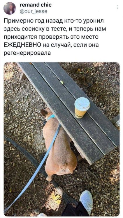 950ec63871ed489c76dbad46d28fa091.thumb.jpg.8dedef1848781c50f2b6c1411d2d45f5.jpg