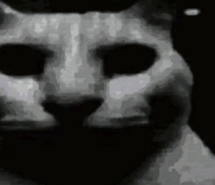 image.png.6c2dc21eac62cf8e8e09e52cccae91a1.png