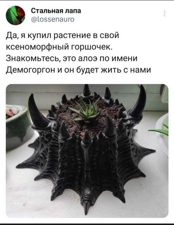 a8fad818093d34a98af37c260decf918.thumb.jpg.3bbd8c02c86cdcaf23c24a862a9f337f.jpg