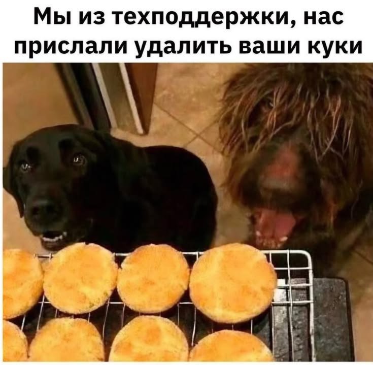 d143b5ad4756d252c0f2a333734c7341.jpg.473b86472bfd4863bf031c6d9c858d45.jpg