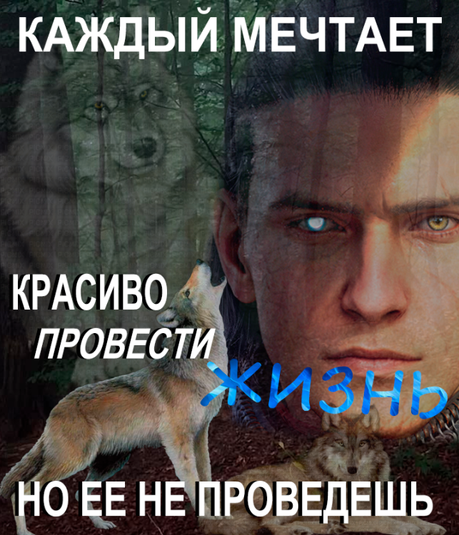 765702242_.thumb.png.0bc020dfffdada076c0c65d7a3126cf6.png