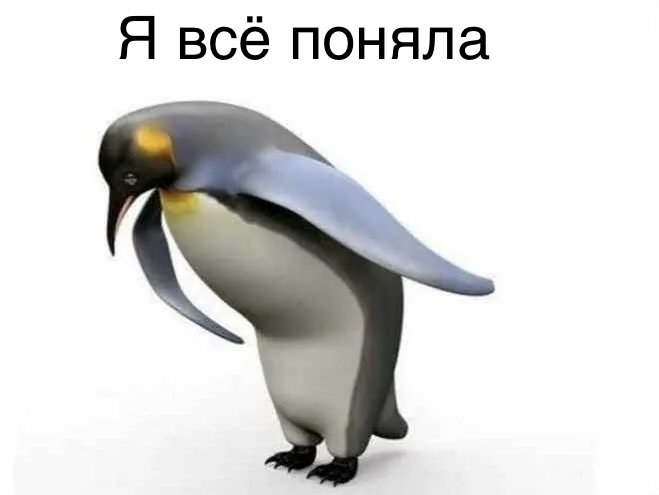 IMG_6211.jpeg.e8b8051f9af98f4d310e6f4a44d4891e.jpeg