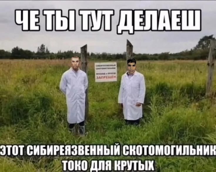 cd3a9697d0a0af0e363707062ddf43eb.jpg.6650e7d09ace6f6ef1f19d43d10b2975.jpg