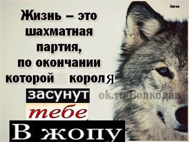 f3b430076ca9d9fdaaf598c95ccd85e6.jpg.115d7aac723b5923c4654cbd2dd1735c.jpg