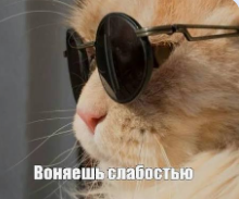 image.png.d00e7a7eb07a1cfdad621d47fee2e076.png