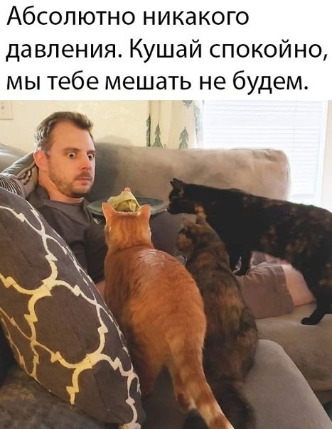 32d334fea1c6d957df6aa4dbef2d870d.jpg.3ad734378106fc150bcaa1145ca65bb6.jpg