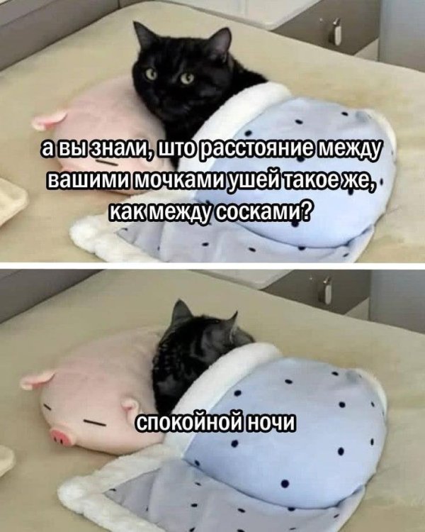 33050b8e1643f8ec0f8eb5edc5d9d8c3.thumb.jpg.9c9a77eb3ff5a335fd0a8f8ce45bcc26.jpg