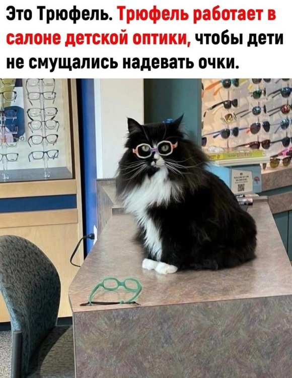6b425cd435f656dbfbe06dbe87b9ef31.thumb.jpg.e69783ccbbf5a3575a905393642674f6.jpg
