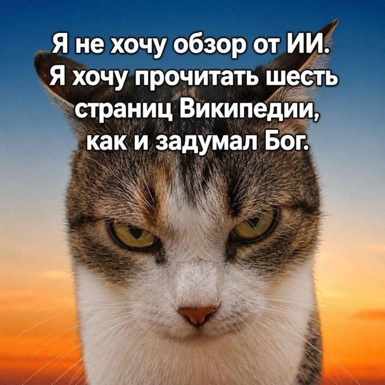 IMG_20261006_131615_943.thumb.jpg.247b96220e10c8bcf4b0a37f8e86a2d5.jpg