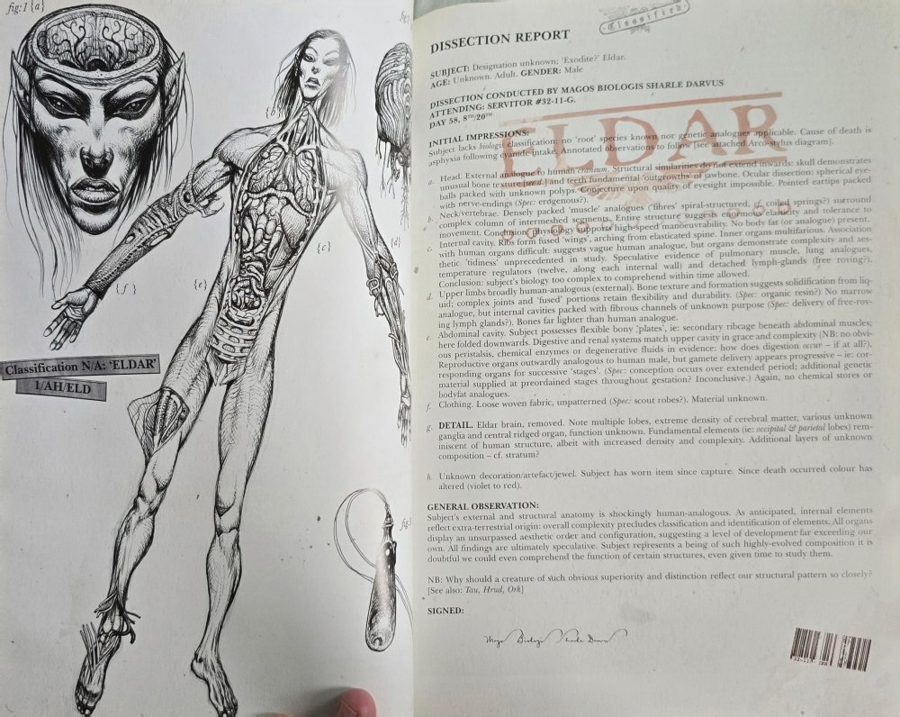 can-anyone-settle-an-argument-about-aeldari-lore-v0-fbjgyxhkv27d1.thumb.jpeg.938901d2871df009e030224214329ba7.jpeg