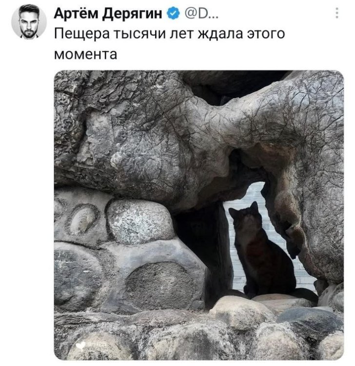 db85368e143587cf195586c0f0cf9f92.thumb.jpg.77aeefd63a8de8b0d3c657581c401bef.jpg