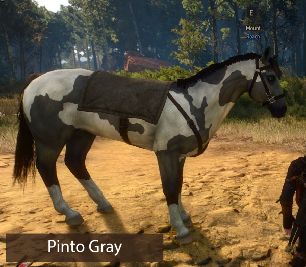 witcher_3_horse_skin_mod_2-600x523.png