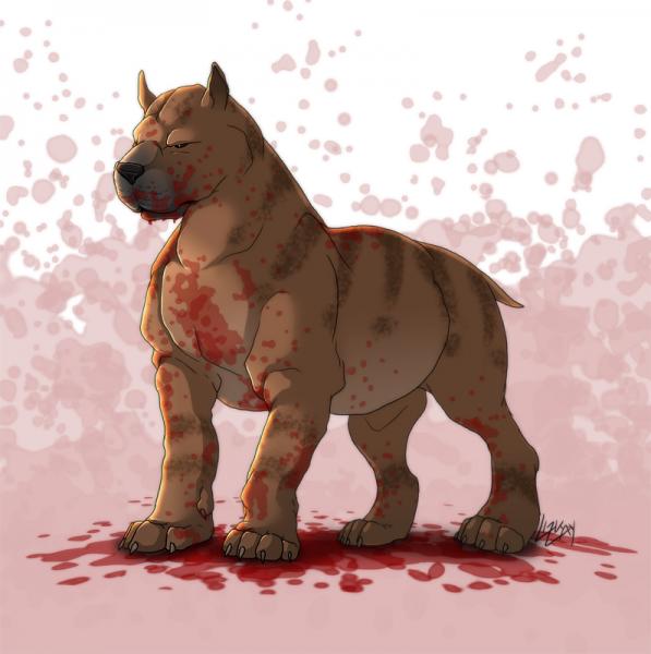 DA___Mabari_War_Dog_by_lizkay.jpg