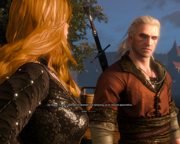 witcher3 2016-06-17 03-22-57-39.png
