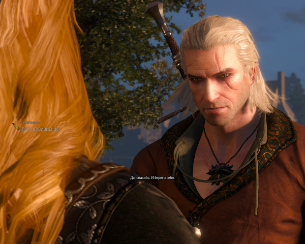witcher3 2016-06-17 03-23-22-22.png
