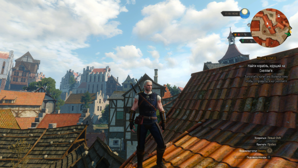 witcher3 2015-06-03 02-39-16-57.png
