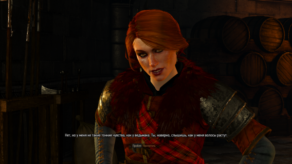 witcher3 2015-06-06 00-34-42-27.png